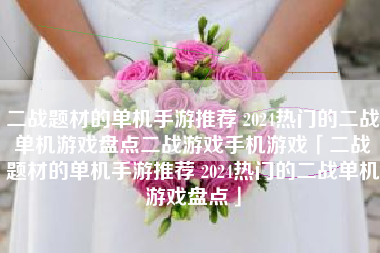 二战题材的单机手游推荐 2024热门的二战单机游戏盘点二战游戏手机游戏「二战题材的单机手游推荐 2024热门的二战单机游戏盘点」