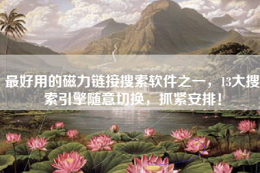 最好用的磁力链接搜索软件之一，13大搜索引擎随意切换，抓紧安排！