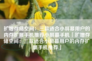 扩增存储空间：三款适合小屏幕用户的内存扩展手机推荐小屏幕手机「扩增存储空间：三款适合小屏幕用户的内存扩展手机推荐」