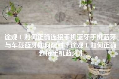 途观 L 如何正确连接手机蓝牙手机蓝牙与车载蓝牙如何配对「途观 L 如何正确连接手机蓝牙」