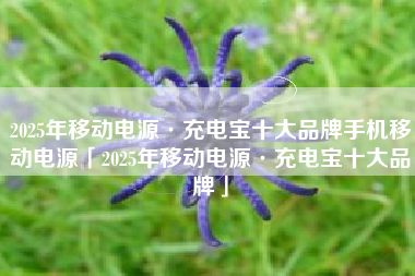 2025年移动电源·充电宝十大品牌手机移动电源「2025年移动电源·充电宝十大品牌」
