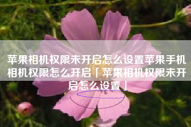 苹果相机权限未开启怎么设置苹果手机相机权限怎么开启「苹果相机权限未开启怎么设置」
