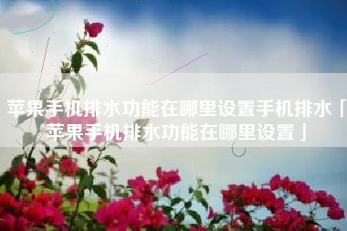 苹果手机排水功能在哪里设置手机排水「苹果手机排水功能在哪里设置」