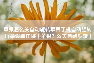 苹果怎么关自动旋转苹果手机自动旋转屏幕设置在哪「苹果怎么关自动旋转」