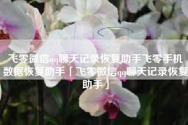 飞零微信qq聊天记录恢复助手飞零手机数据恢复助手「飞零微信qq聊天记录恢复助手」