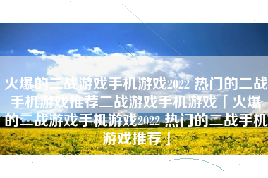 火爆的二战游戏手机游戏2022 热门的二战手机游戏推荐二战游戏手机游戏「火爆的二战游戏手机游戏2022 热门的二战手机游戏推荐」