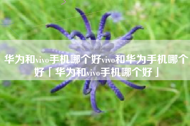 华为和vivo手机哪个好vivo和华为手机哪个好「华为和vivo手机哪个好」