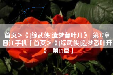 首页＞《[综武侠]造梦者叶开》  第17章晋江手机「首页＞《[综武侠]造梦者叶开》  第17章」