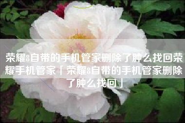 荣耀8自带的手机管家删除了肿么找回荣耀手机管家「荣耀8自带的手机管家删除了肿么找回」