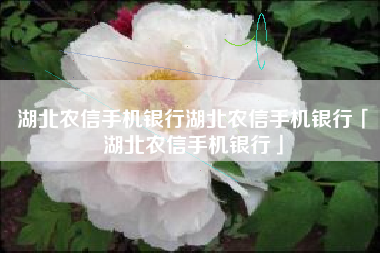 湖北农信手机银行湖北农信手机银行「湖北农信手机银行」
