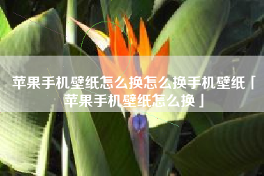 苹果手机壁纸怎么换怎么换手机壁纸「苹果手机壁纸怎么换」