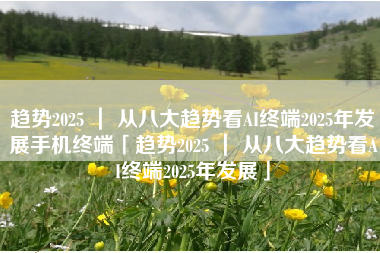 趋势2025 ｜ 从八大趋势看AI终端2025年发展手机终端「趋势2025 ｜ 从八大趋势看AI终端2025年发展」