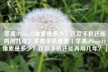 苹果iPhone12像素是多少？这款手机还能再用几年？苹果手机像素「苹果iPhone12像素是多少？这款手机还能再用几年？」