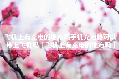 飞机上有充电的地方吗手机充电器可以带上飞机吗「飞机上有充电的地方吗」