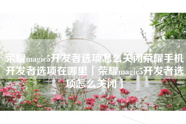 荣耀magic5开发者选项怎么关闭荣耀手机开发者选项在哪里「荣耀magic5开发者选项怎么关闭」