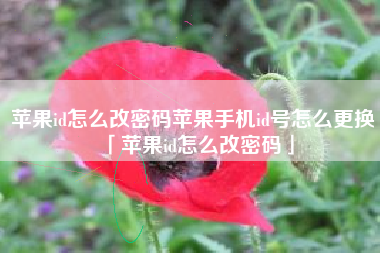 苹果id怎么改密码苹果手机id号怎么更换「苹果id怎么改密码」