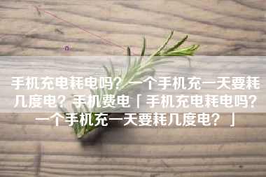 手机充电耗电吗？一个手机充一天要耗几度电？手机费电「手机充电耗电吗？一个手机充一天要耗几度电？」