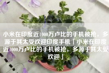 小米在印度近1000万卢比的手机被抢，多源于其太受欢迎印度手机「小米在印度近1000万卢比的手机被抢，多源于其太受欢迎」