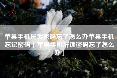 苹果手机屏锁密码忘了怎么办苹果手机忘记密码「苹果手机屏锁密码忘了怎么办」