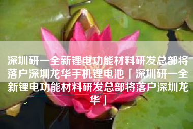 深圳研一全新锂电功能材料研发总部将落户深圳龙华手机锂电池「深圳研一全新锂电功能材料研发总部将落户深圳龙华」