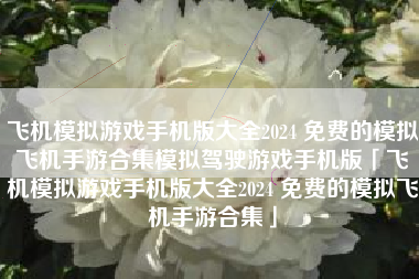 飞机模拟游戏手机版大全2024 免费的模拟飞机手游合集模拟驾驶游戏手机版「飞机模拟游戏手机版大全2024 免费的模拟飞机手游合集」