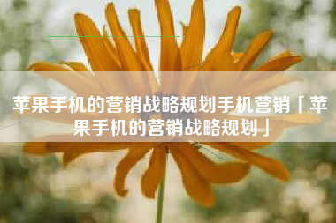 苹果手机的营销战略规划手机营销「苹果手机的营销战略规划」