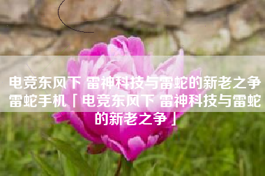 电竞东风下 雷神科技与雷蛇的新老之争雷蛇手机「电竞东风下 雷神科技与雷蛇的新老之争」