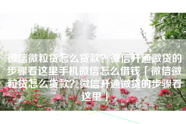 微信微粒贷怎么贷款？微信开通微贷的步骤看这里手机微信怎么借钱「微信微粒贷怎么贷款？微信开通微贷的步骤看这里」