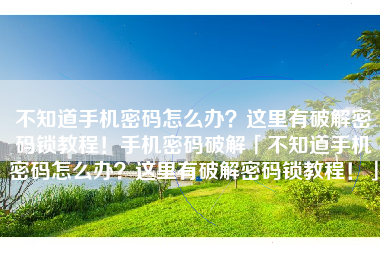 不知道手机密码怎么办？这里有破解密码锁教程！手机密码破解「不知道手机密码怎么办？这里有破解密码锁教程！」