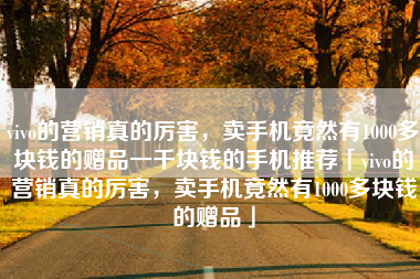 vivo的营销真的厉害，卖手机竟然有1000多块钱的赠品一千块钱的手机推荐「vivo的营销真的厉害，卖手机竟然有1000多块钱的赠品」