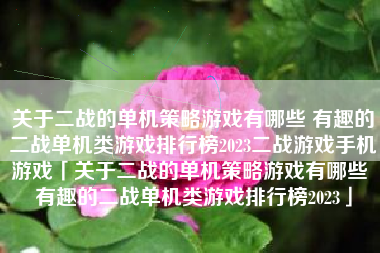关于二战的单机策略游戏有哪些 有趣的二战单机类游戏排行榜2023二战游戏手机游戏「关于二战的单机策略游戏有哪些 有趣的二战单机类游戏排行榜2023」