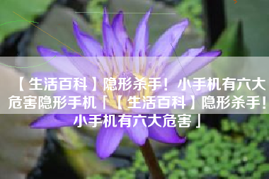 【生活百科】隐形杀手！小手机有六大危害隐形手机「【生活百科】隐形杀手！小手机有六大危害」