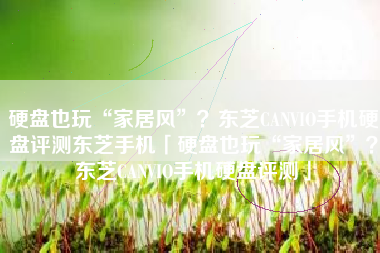 硬盘也玩“家居风”？东芝CANVIO手机硬盘评测东芝手机「硬盘也玩“家居风”？东芝CANVIO手机硬盘评测」