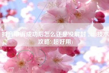 抖音申诉成功后怎么还是没解封 2024技术攻略!(超好用)