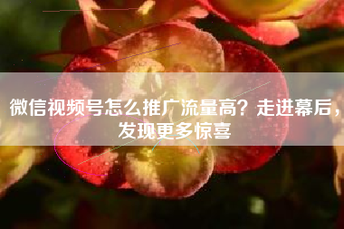 微信视频号怎么推广流量高？走进幕后，发现更多惊喜