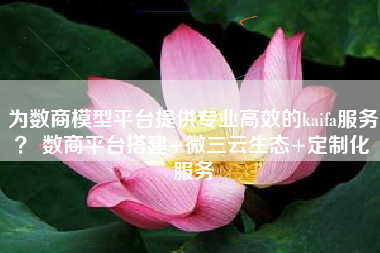 为数商模型平台提供专业高效的kaifa服务？ 数商平台搭建+微三云生态+定制化服务