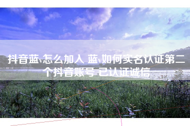 抖音蓝v怎么加入 蓝v如何实名认证第二个抖音账号 已认证诚信