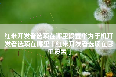 红米开发者选项在哪里设置华为手机开发者选项在哪里「红米开发者选项在哪里设置」