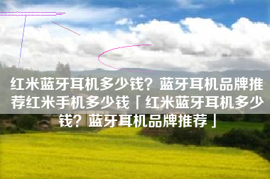 红米蓝牙耳机多少钱？蓝牙耳机品牌推荐红米手机多少钱「红米蓝牙耳机多少钱？蓝牙耳机品牌推荐」