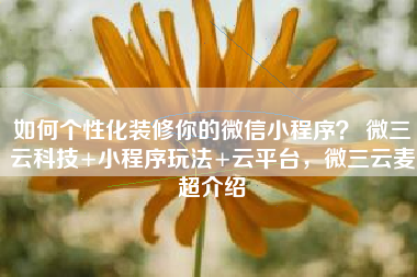 如何个性化装修你的微信小程序？ 微三云科技+小程序玩法+云平台，微三云麦超介绍