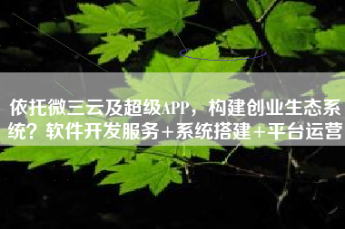 依托微三云及超级APP，构建创业生态系统？软件开发服务+系统搭建+平台运营
