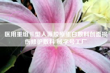 医用重组Ⅲ型人源胶原蛋白敷料创面损伤修护敷料 械字号工厂