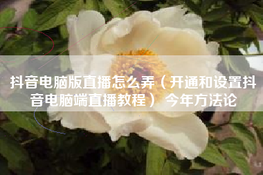 抖音电脑版直播怎么弄（开通和设置抖音电脑端直播教程） 今年方法论