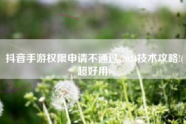 抖音手游权限申请不通过 2024技术攻略!(超好用)