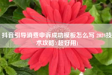 抖音引导消费申诉成功模板怎么写 2024技术攻略!(超好用)