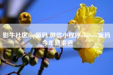影牛社区app源码 微信小程序windows源码 今年新渠道