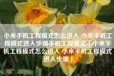 小米手机工程模式怎么进入 小米手机工程模式进入步骤手机工程模式「小米手机工程模式怎么进入 小米手机工程模式进入步骤」