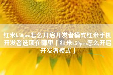 红米k50pro怎么开启开发者模式红米手机开发者选项在哪里「红米k50pro怎么开启开发者模式」
