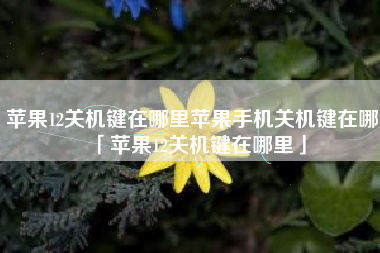 苹果12关机键在哪里苹果手机关机键在哪「苹果12关机键在哪里」