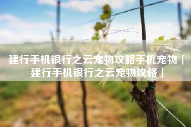 建行手机银行之云宠物攻略手机宠物「建行手机银行之云宠物攻略」